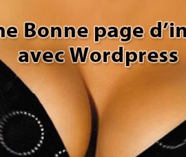une page d'intro avec wordpress http://lobo-graphik.com/