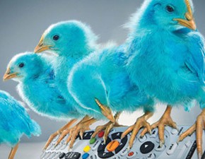 free-box-revolution-twitterTV - http://www.lobo-graphik.com - reseau -site web - creation web - devis - graphisme - flyer - pack web - tarif devis