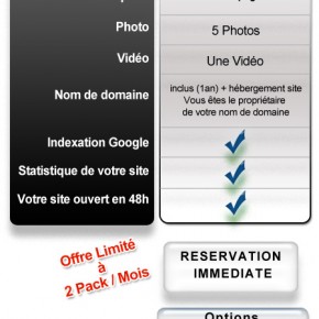 Pack Web Artiste : 370€ - http://www.lobo-graphik.com