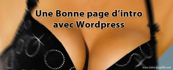 une page d'intro avec wordpress https://lobo-graphik.com/