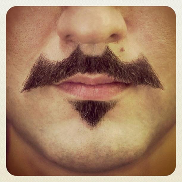 Vision du jour Bat Moustache