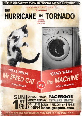 Vision du Jour : un chat contre une machine à laver ?