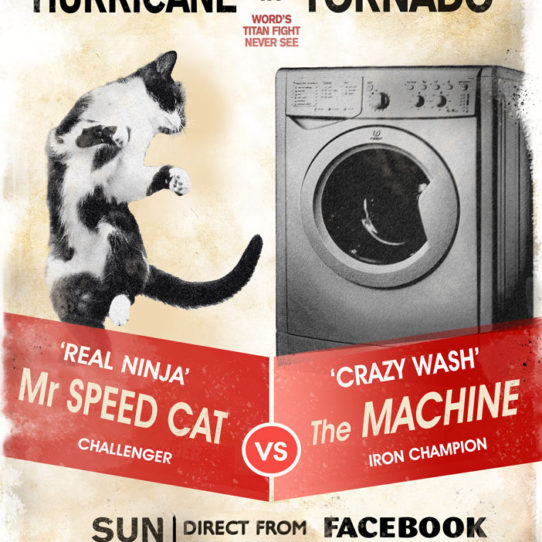 Vision du Jour : un chat contre une machine à laver ?